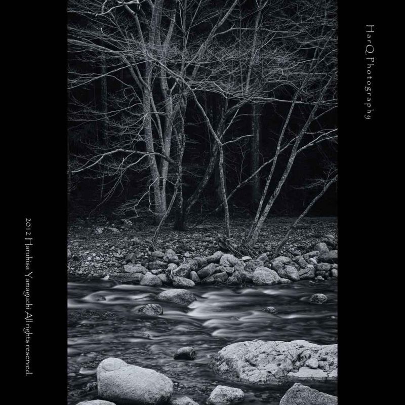 river & trees b&w.jpg